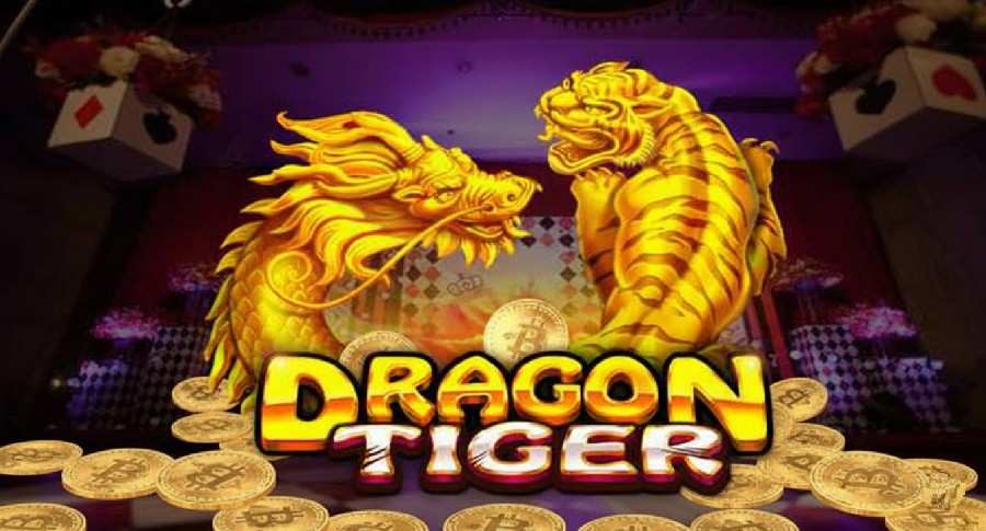 dragon tiger crypto & bitcoins