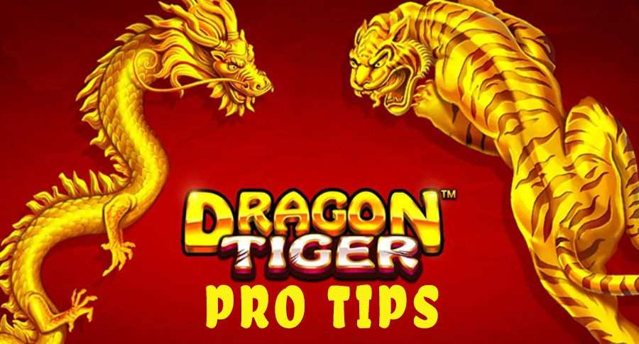 Dragon Tiger Tips for Beginners and Pros